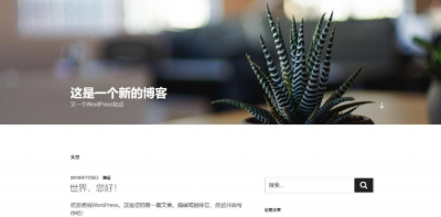 如何在VPS服务器上使用BT宝塔面板快速创建Wordpress等网站-Boxdiary